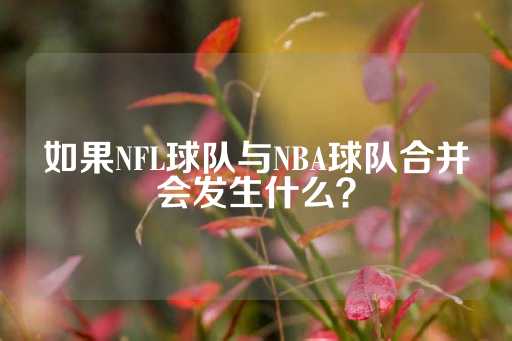 如果NFL球队与NBA球队合并会发生什么？