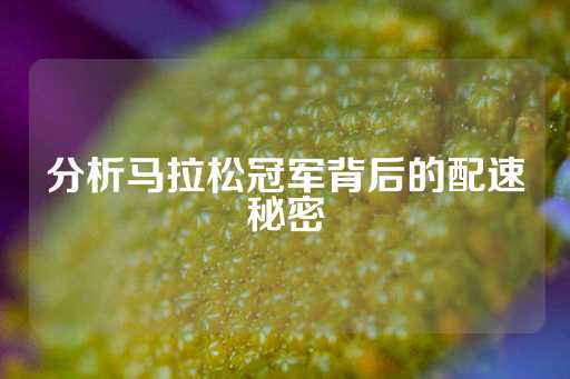 分析马拉松冠军背后的配速秘密