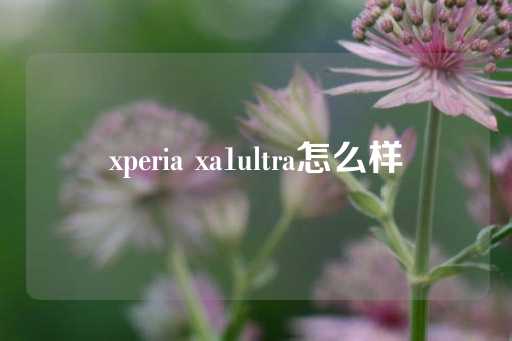 xperia xa1ultra怎么样-第1张图片-皇冠信用盘出租