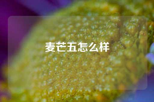 麦芒五怎么样-第1张图片-皇冠信用盘出租