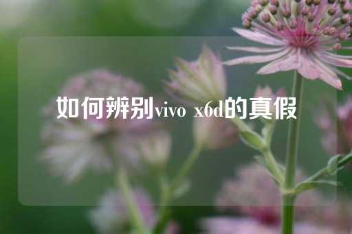 如何辨别vivo x6d的真假-第1张图片-皇冠信用盘出租