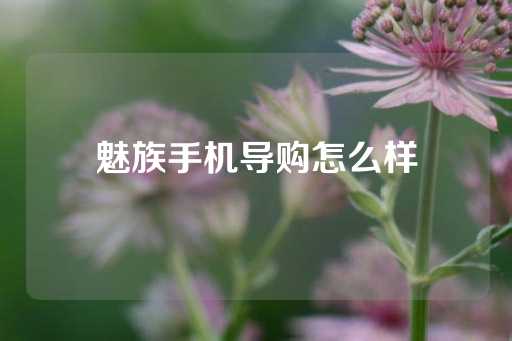 魅族手机导购怎么样